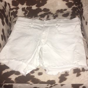 Express Shorts
